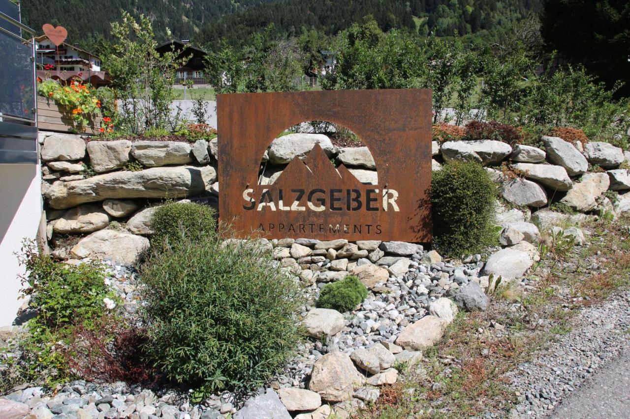 Salzgeber Appartements Sankt Gallenkirch Eksteriør billede